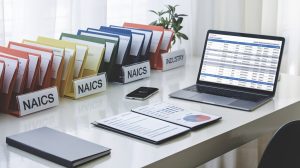 multiple naics codes allowed